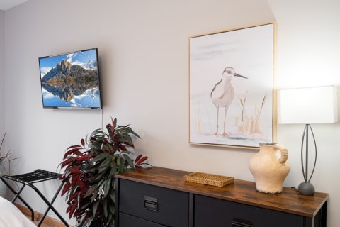 A modern room corner with a TV displaying mountains, a bird watercolor, a pot, and a lamp.