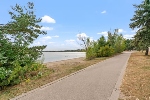 A scenic lakeside path lined with trees and bushes, leading to a calm water body under a blue sky.