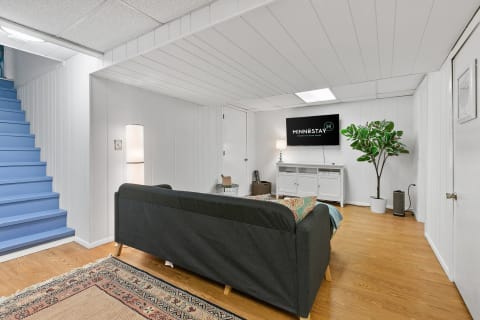 Cozy basement living area featuring a couch, TV, and plant.