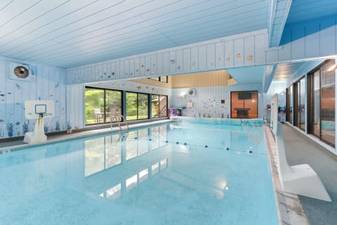 A bright indoor swimming pool with blue walls and fish murals, featuring a basketball hoop and large windows overlooking green outdoors.