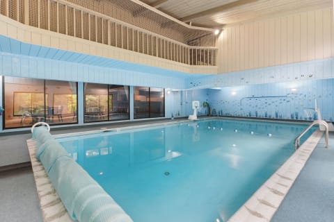 Indoor swimming pool with blue walls, aquatic murals, and large windows.