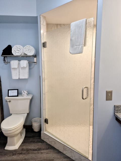 A modern bathroom with a walk-in shower, clean towels, and a toilet.
