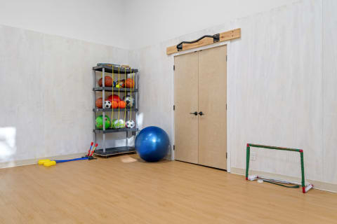 Indoor play area with colorful sports balls, an exercise ball, and a small soccer goal.